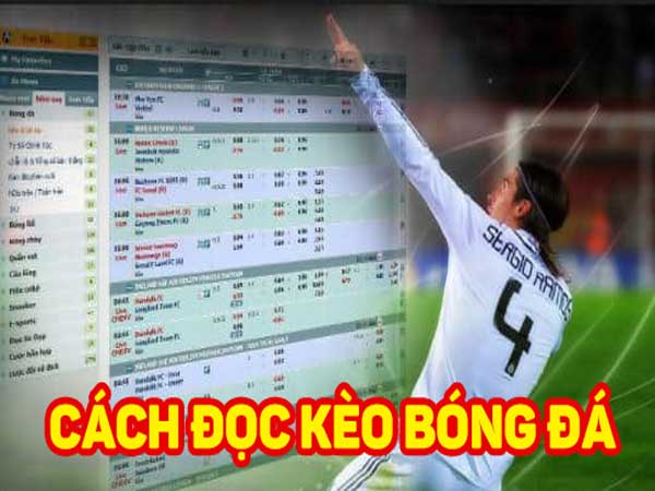 Cách đọc kèo bóng đá châu Á trên mạng