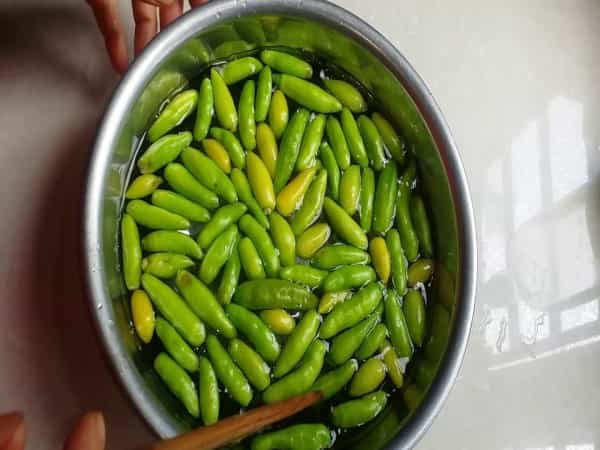 Dự đoán số may mắn khi mơ thấy cây ớt xanh
