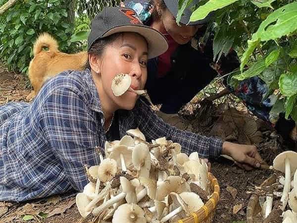 Nằm mơ thấy nhổ nấm mối là tốt hay xấu